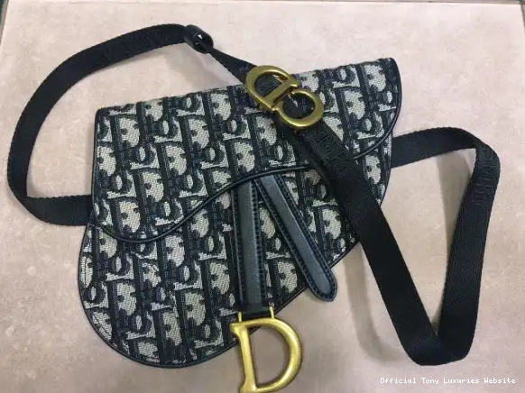 Tony Luxuries OBLIQUE BELT BAG diro 0616